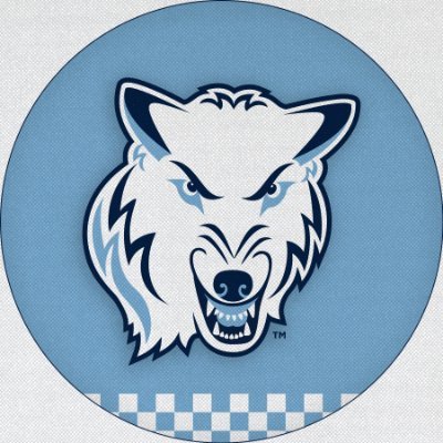 nutimberwolves's profile picture