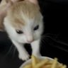 Profilbild von meme