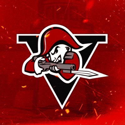 VoltigeursDRU's profile picture