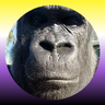 Chimpy Bobo III's profile picture