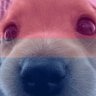 Esther's profile picture