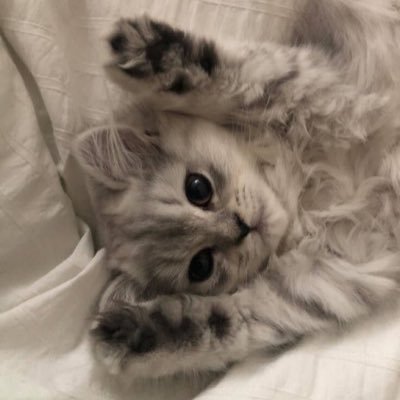 GyeongggW's profile picture