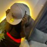 slams's profile picture
