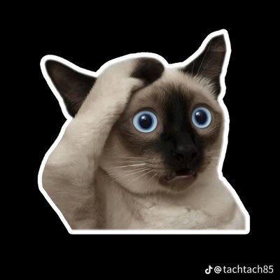 bunbo2trung's profile picture