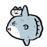 ちいまり profil fotoğrafı
