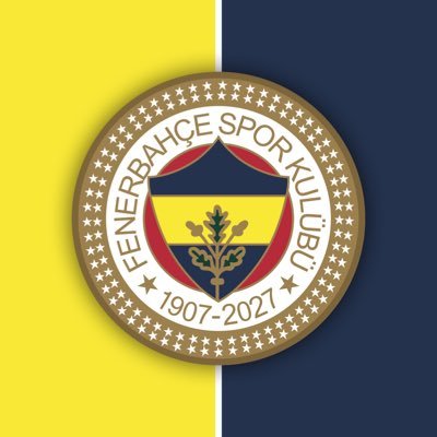 Fenerbahçe SK France 🇫🇷's profile picture