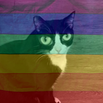 boots’ mom's profile picture