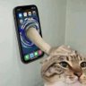 Profilbild von JITUI