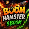 💣 BoomHamste 的头像