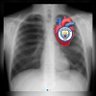 De Bruyne Kanox¹⁷ profil fotoğrafı