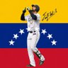 えす️メヒア🦁ライオンズ🇻🇪's profile picture