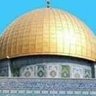 Фото профиля مصدرمش مسئول