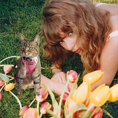 swifties en aprietos's profile picture