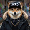 KP7 的头像