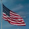 Stacy The Patriot 🇺🇸's profile picture