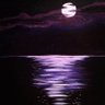mrlofi323554's profile picture
