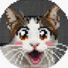 らぶ甲殻類🍤's profile picture