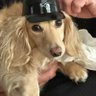 Profilbild von Sox 68