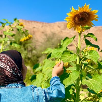 Saraa_Moustafa's profile picture