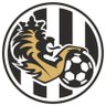 Фото профиля FC Hradec Králové
