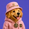 CRYPTO xp profil fotoğrafı