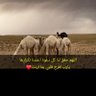 Фото профиля يزيد محمدالتميمي