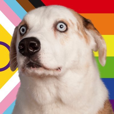 WeRateDogs's profile picture