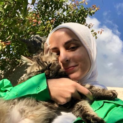 ARJSSBJT2's profile picture