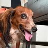 TellmetheTruth's profile picture