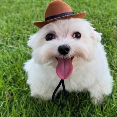 GoonStarr00's profile picture