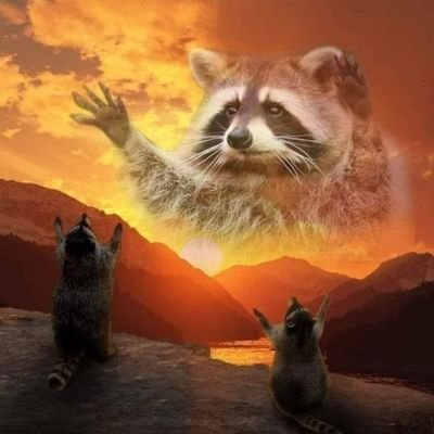 °𝕆𝕦𝕕𝕛𝕒𝕥𝕤𝕒𝕞𝕒𝕒° ˗ˏˋ ✞ ˎˊ˗ 𓅔🦝's profile picture