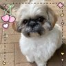 ポンタ's profile picture