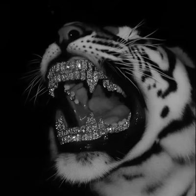 Twxigs1's profile picture
