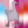 Sensible Duck's profile picture