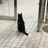 ukiki's profile picture