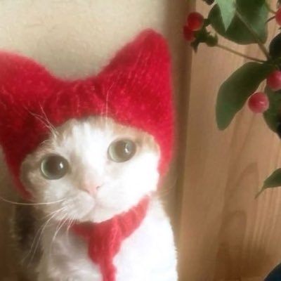 Dalaa's profile picture