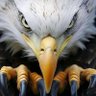 Profilbild von American Patriot