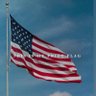 Comical Conservative's profile picture