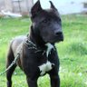 Max profil fotoğrafı