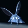 WOKE Good moth 的头像