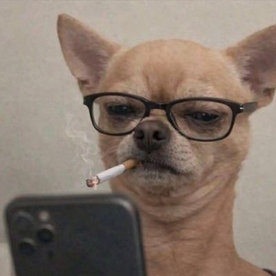 EricTheGoatX's profile picture