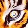BigDTigerBurgh profil fotoğrafı