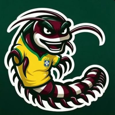 lacraiatricolor's profile picture