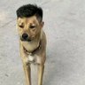 他姥爷 profil fotoğrafı