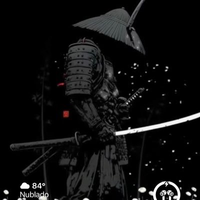 insano193's profile picture