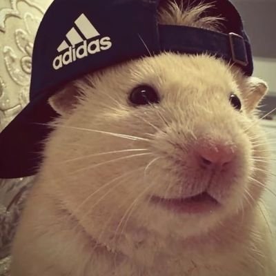 Wita230's profile picture