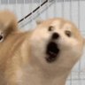 ぱく 的头像