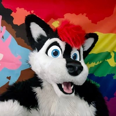 Darroh Huskers's profile picture