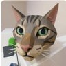 Profilbild von shen897