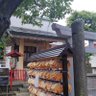 榎本半麺's profile picture